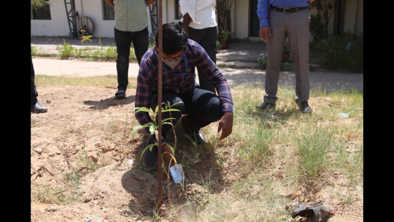 Tree Plantation 10 May 2021 (10)