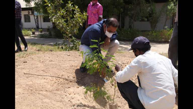 Tree Plantation 10 May 2021 (12)