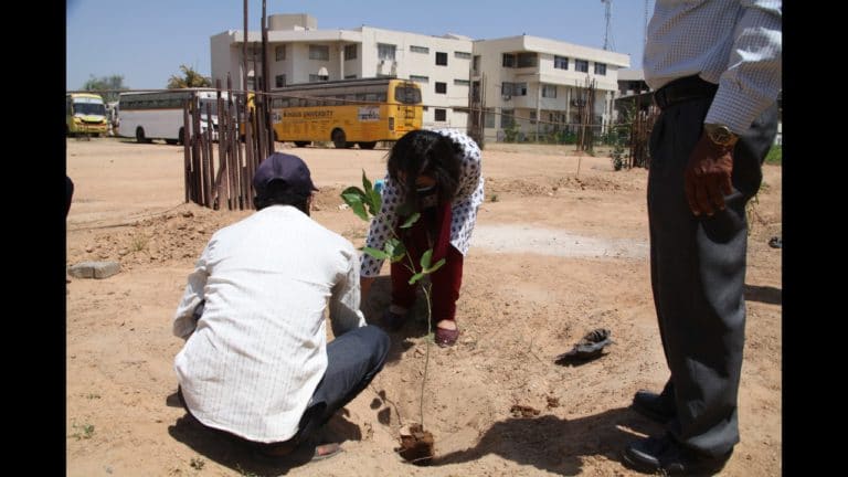 Tree Plantation 10 May 2021 (13)