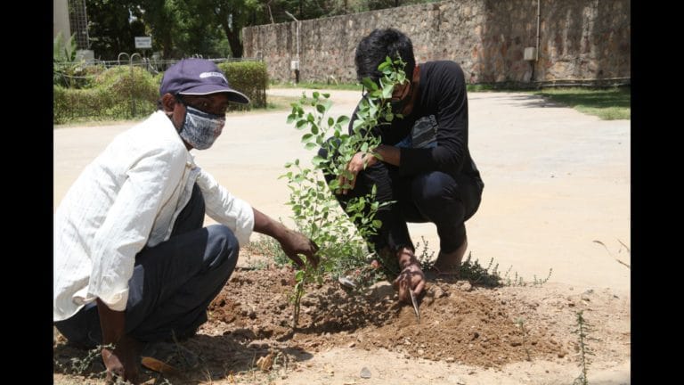 Tree Plantation 10 May 2021 (18)