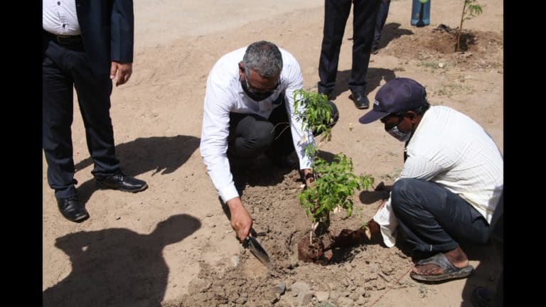 Tree Plantation 10 May 2021 (3)