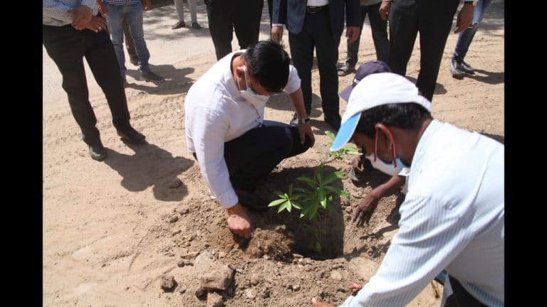 Tree Plantation 10 May 2021 (4)