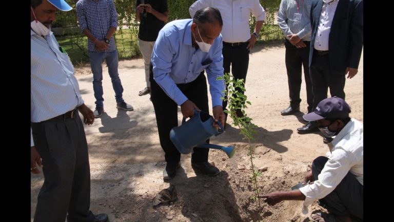 Tree Plantation 10 May 2021 (5)