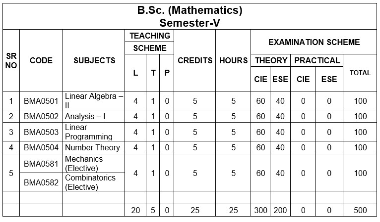 B.Sc Maths Course Details - Indus University