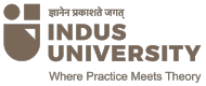Indus University