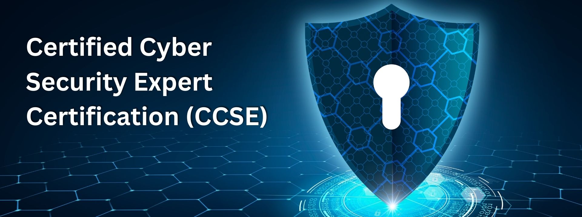 Certified Cyber Security Expert Certification (CCSE)