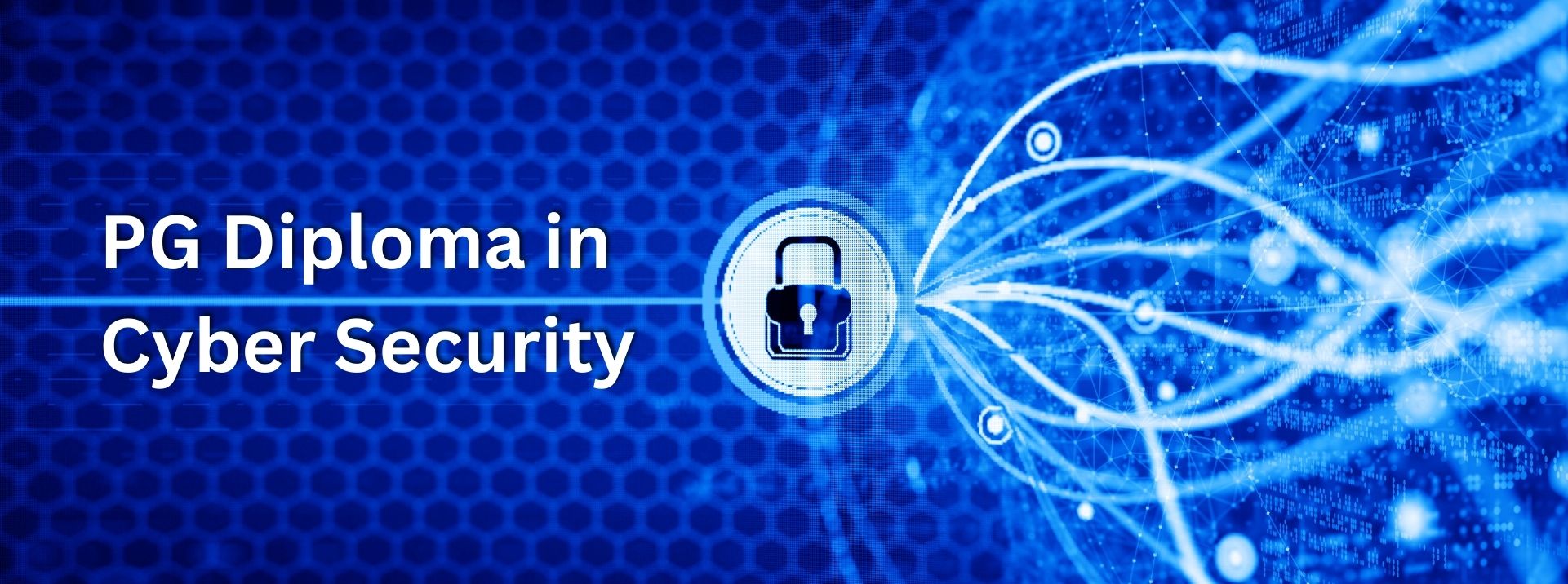 cyber security pg course