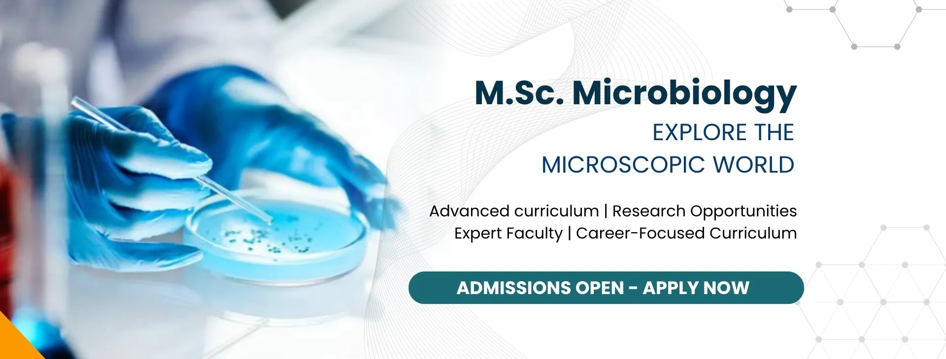 M.Sc Microbiology Syllabus